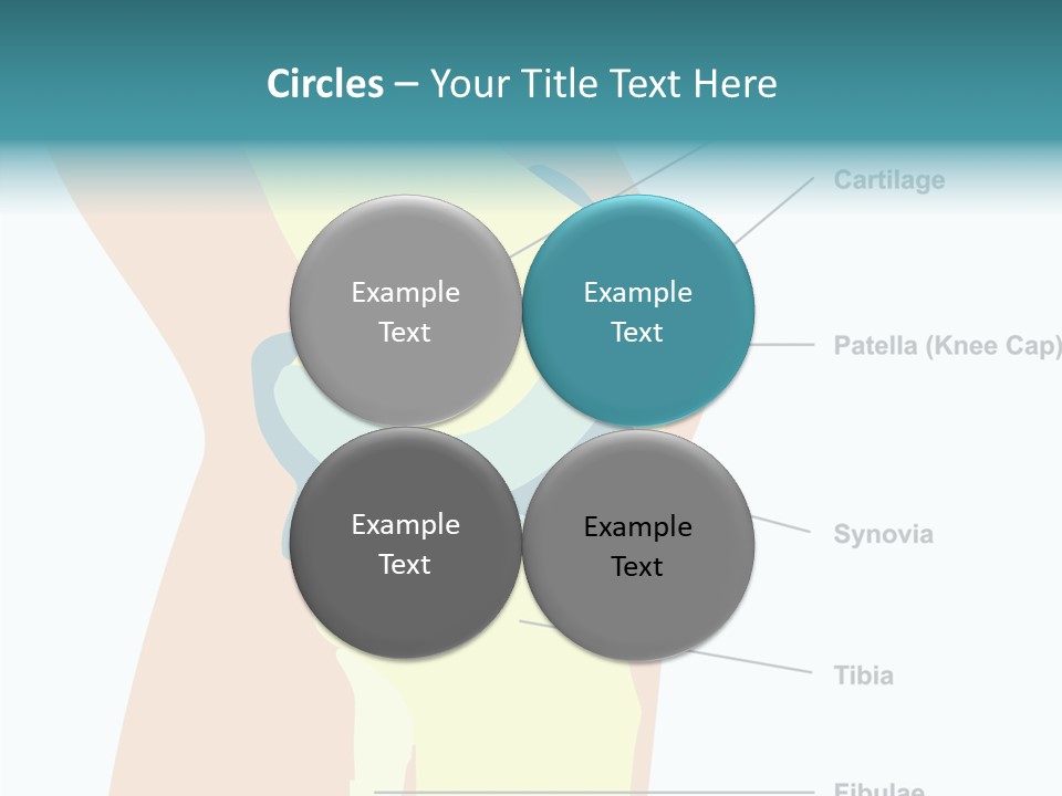 Touching Care Aging PowerPoint Template