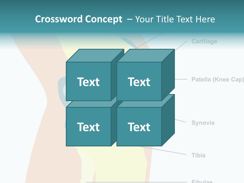 Touching Care Aging PowerPoint Template