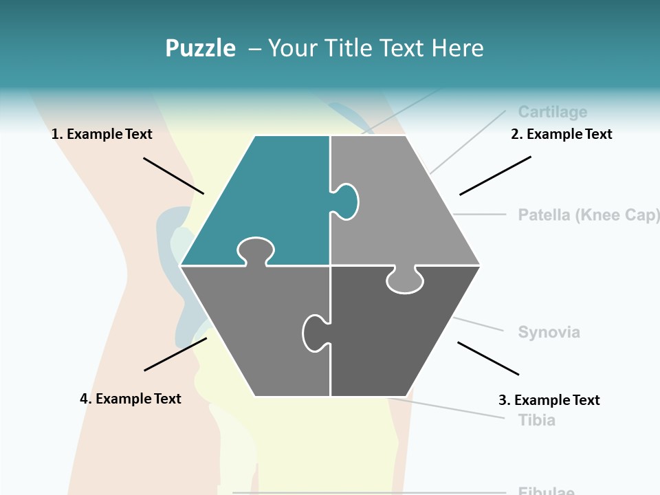 Touching Care Aging PowerPoint Template