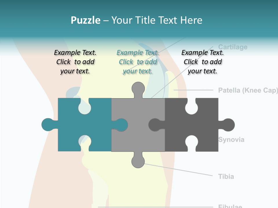 Touching Care Aging PowerPoint Template