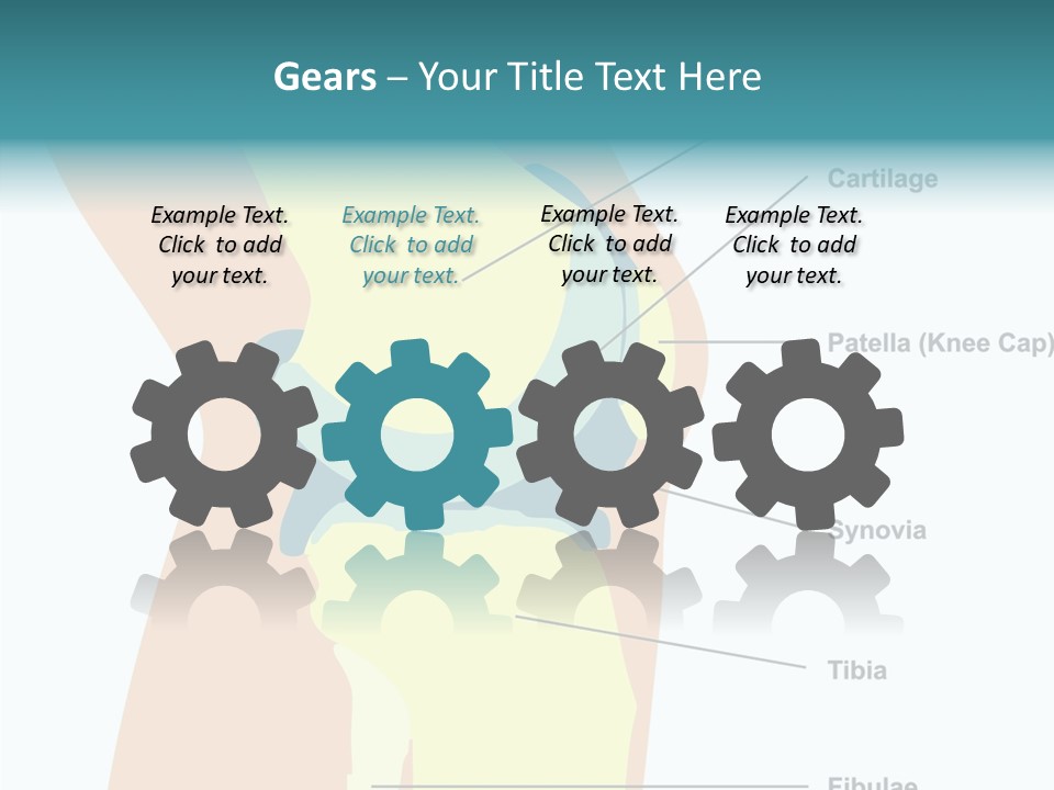 Touching Care Aging PowerPoint Template