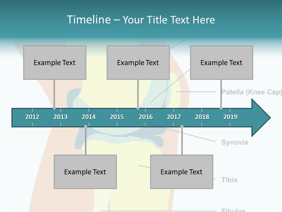 Touching Care Aging PowerPoint Template