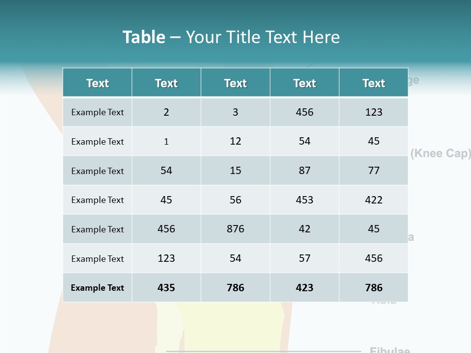 Touching Care Aging PowerPoint Template
