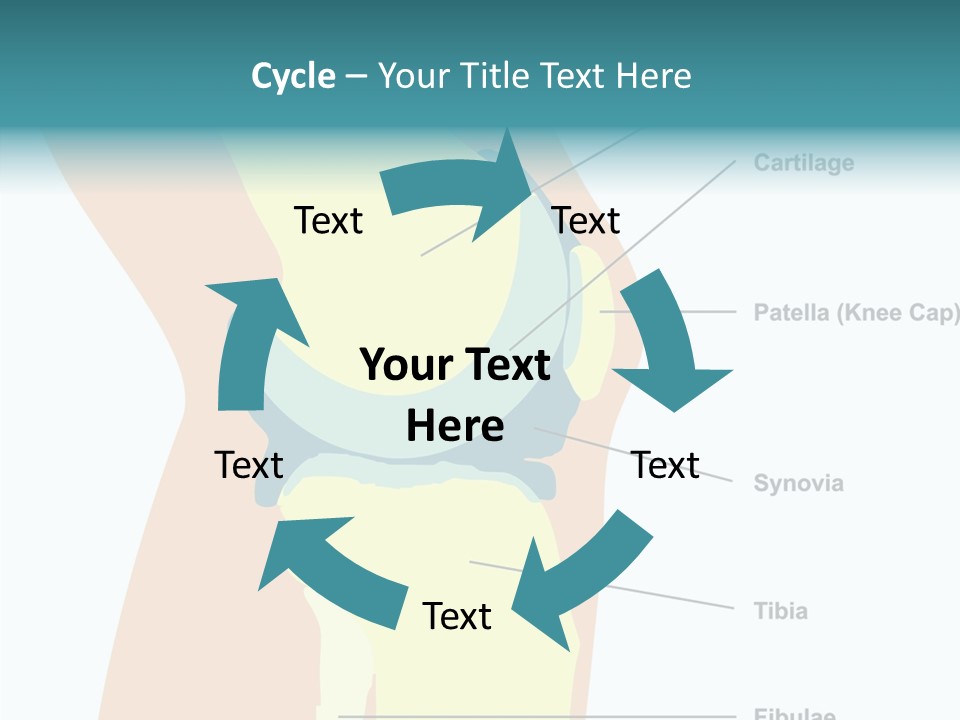 Touching Care Aging PowerPoint Template