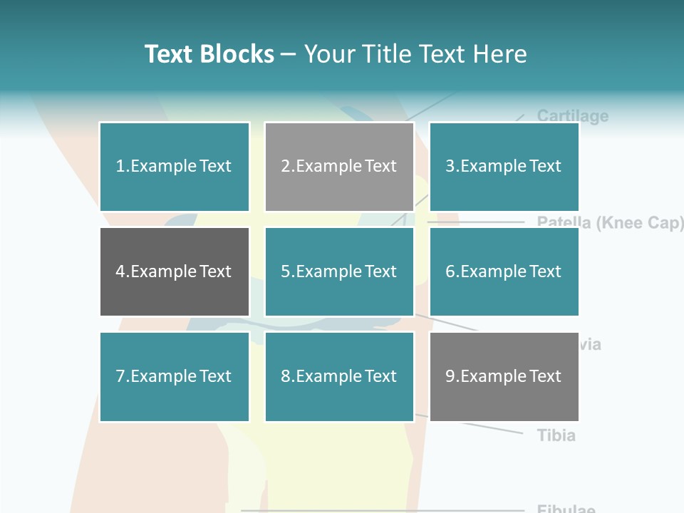 Touching Care Aging PowerPoint Template