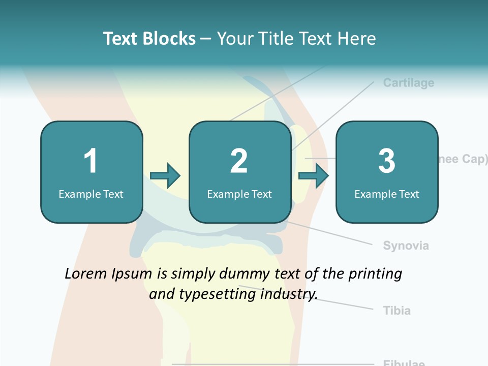 Touching Care Aging PowerPoint Template