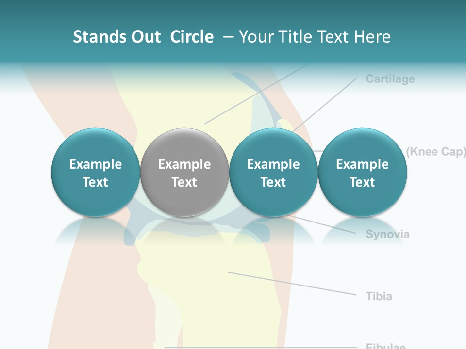 Touching Care Aging PowerPoint Template