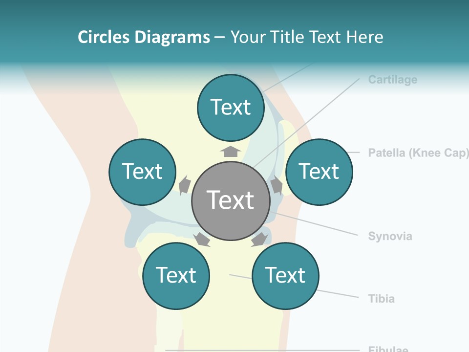 Touching Care Aging PowerPoint Template