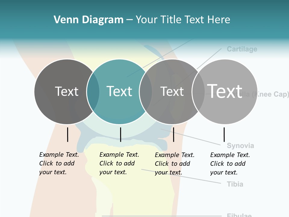 Touching Care Aging PowerPoint Template