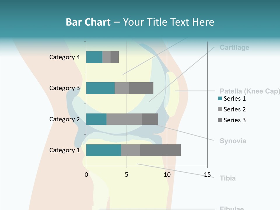 Touching Care Aging PowerPoint Template