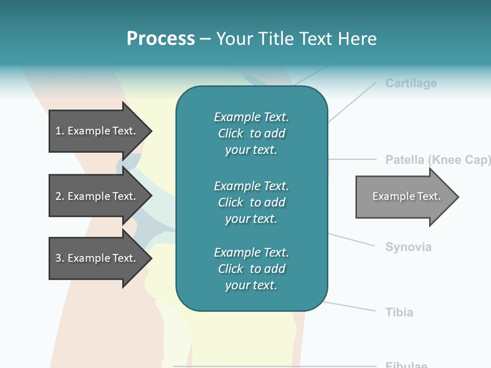 Touching Care Aging PowerPoint Template