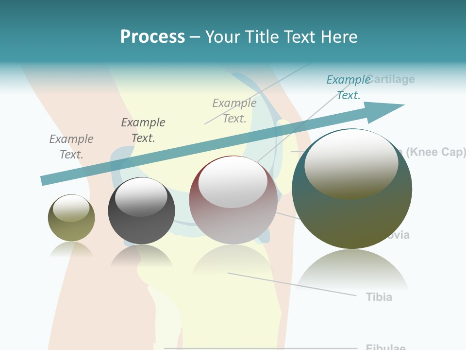 Touching Care Aging PowerPoint Template