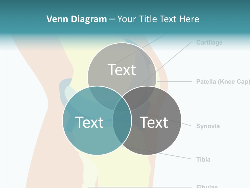 Touching Care Aging PowerPoint Template