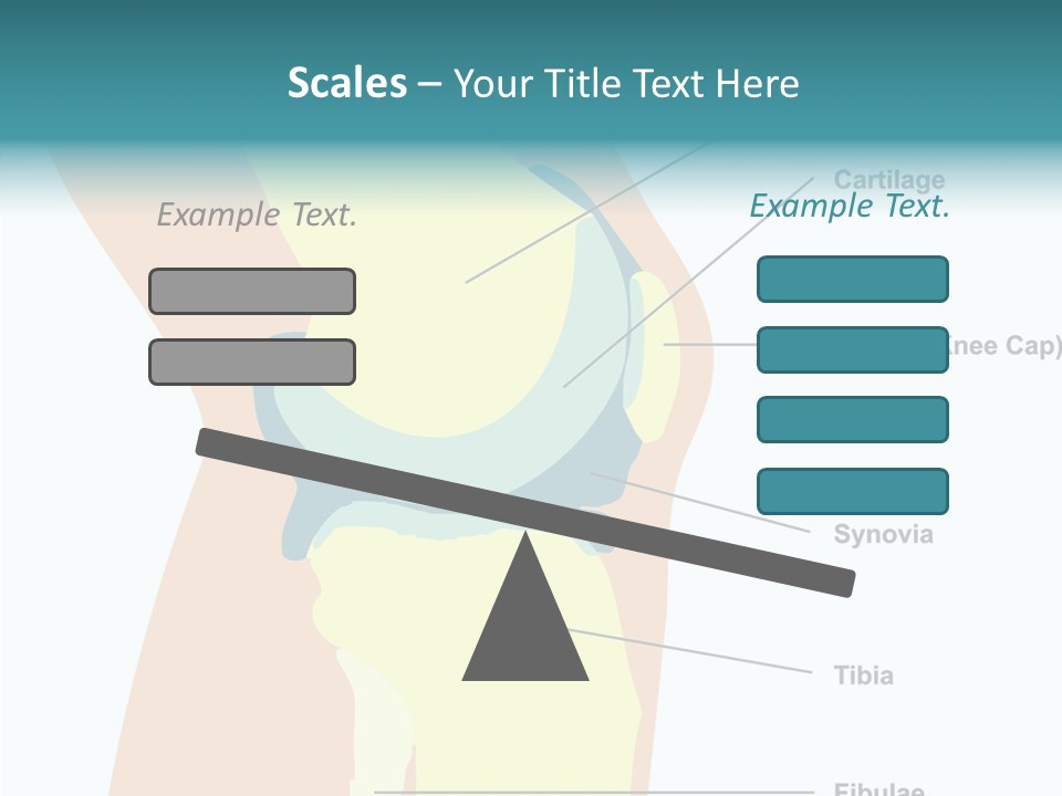 Touching Care Aging PowerPoint Template