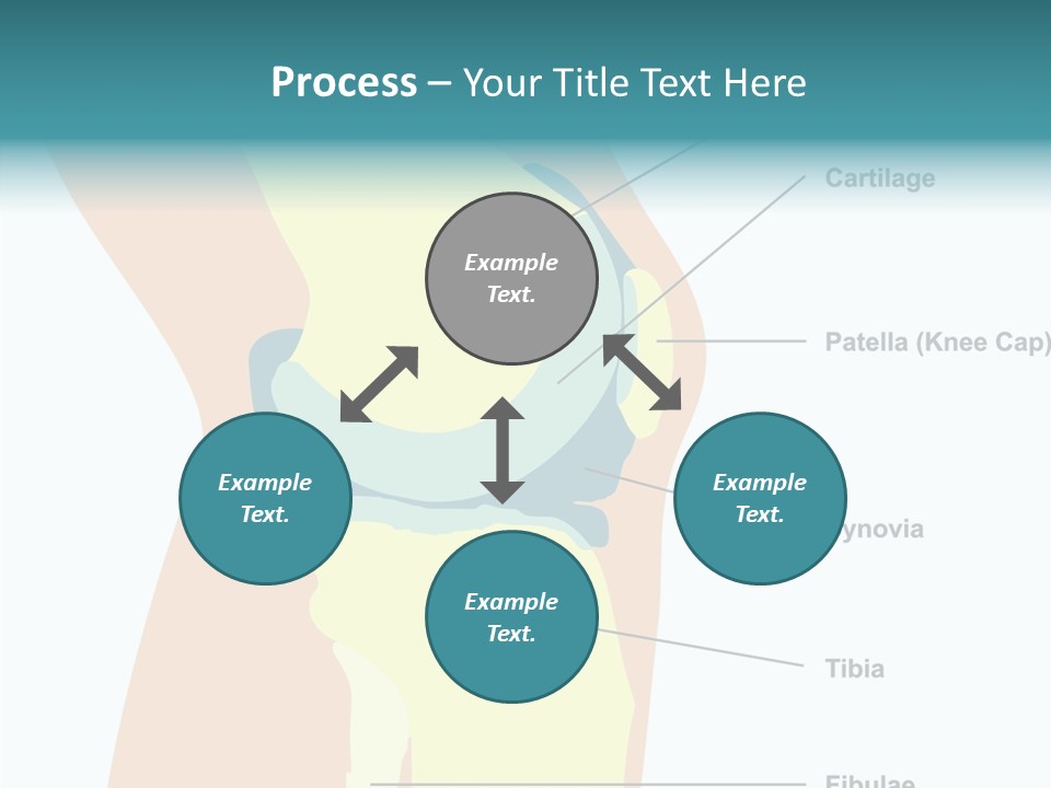 Touching Care Aging PowerPoint Template