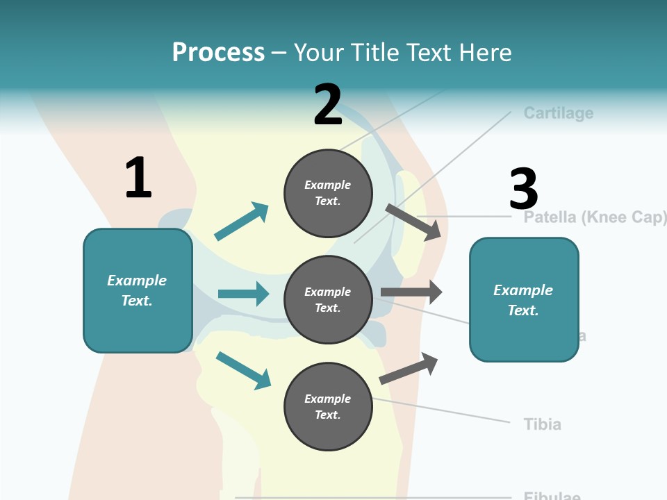 Touching Care Aging PowerPoint Template