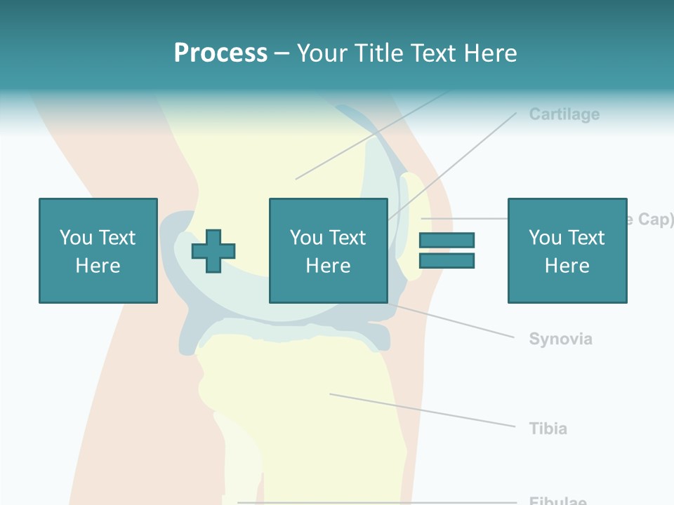 Touching Care Aging PowerPoint Template