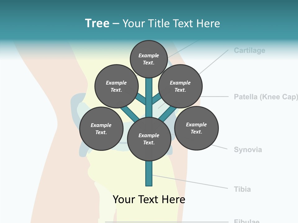 Touching Care Aging PowerPoint Template