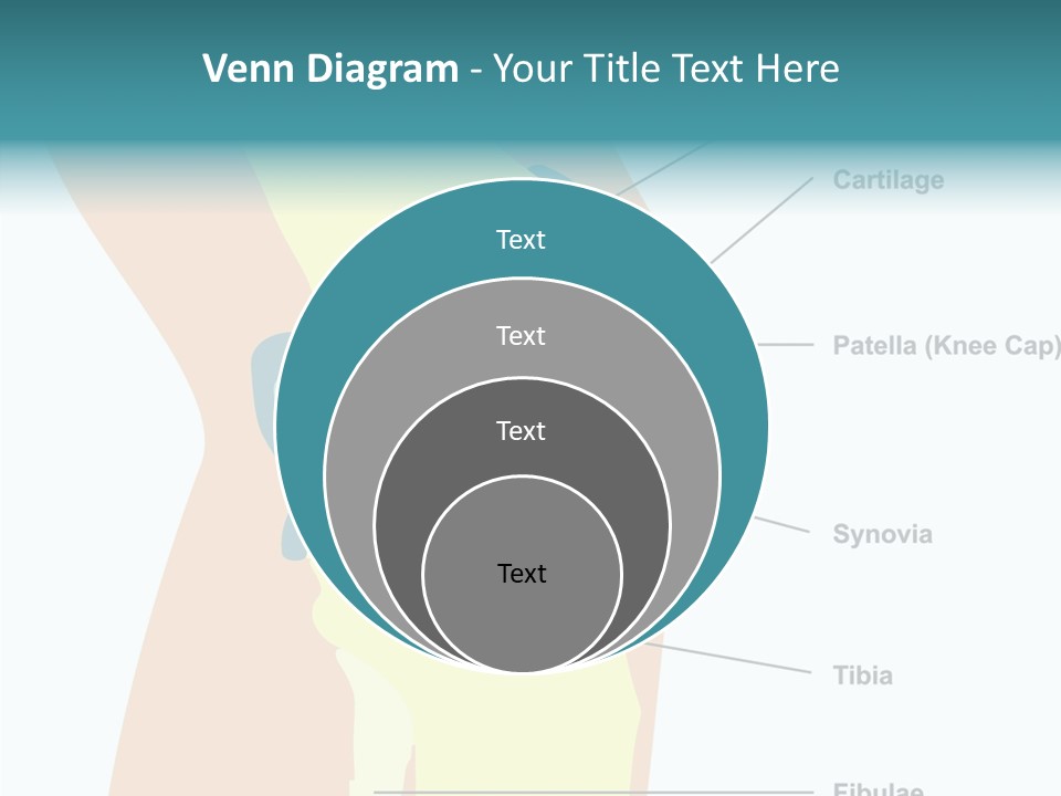 Touching Care Aging PowerPoint Template