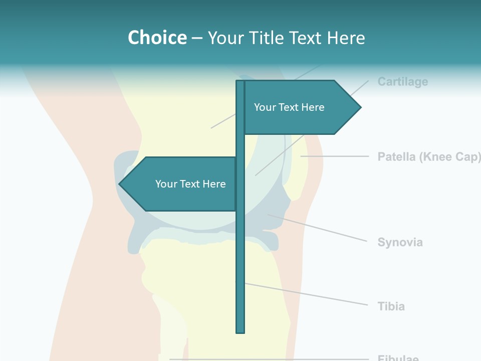 Touching Care Aging PowerPoint Template