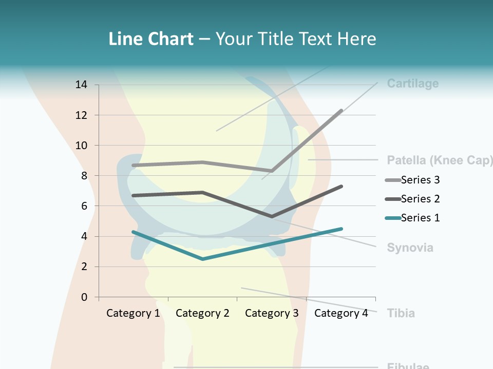 Touching Care Aging PowerPoint Template