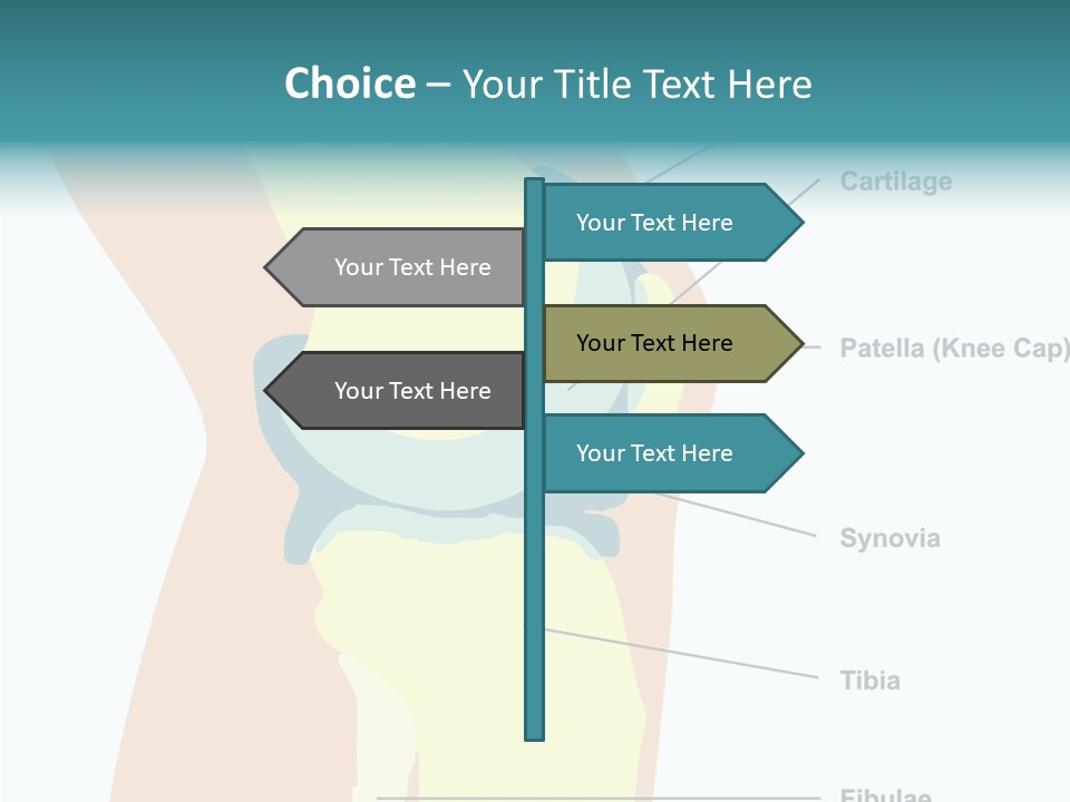 Touching Care Aging PowerPoint Template