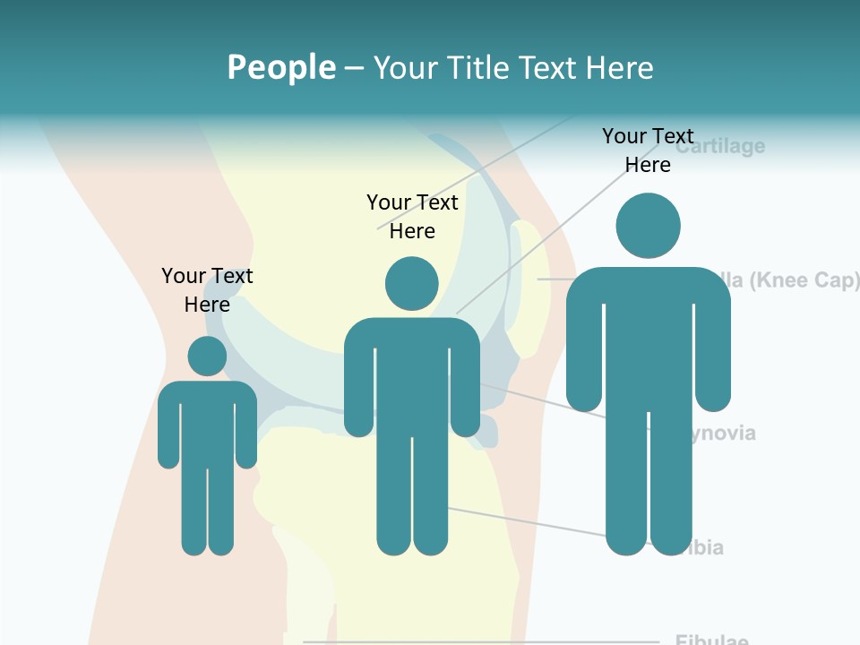 Touching Care Aging PowerPoint Template