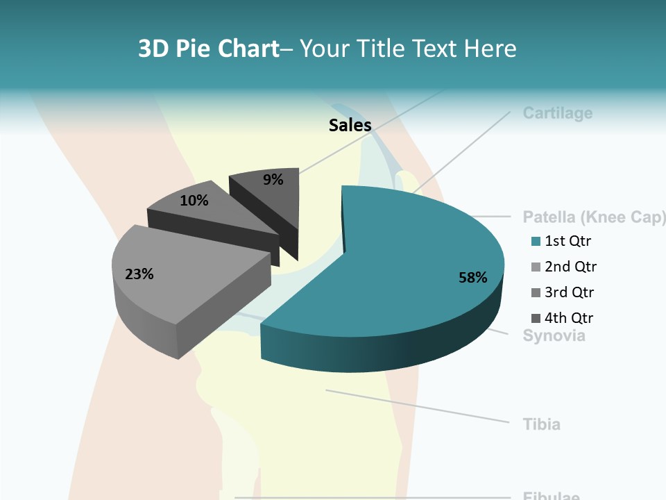 Touching Care Aging PowerPoint Template