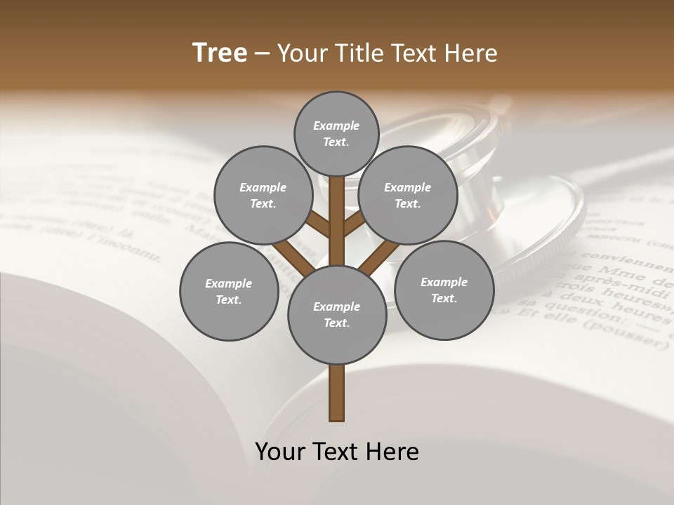 Senior   Help PowerPoint Template