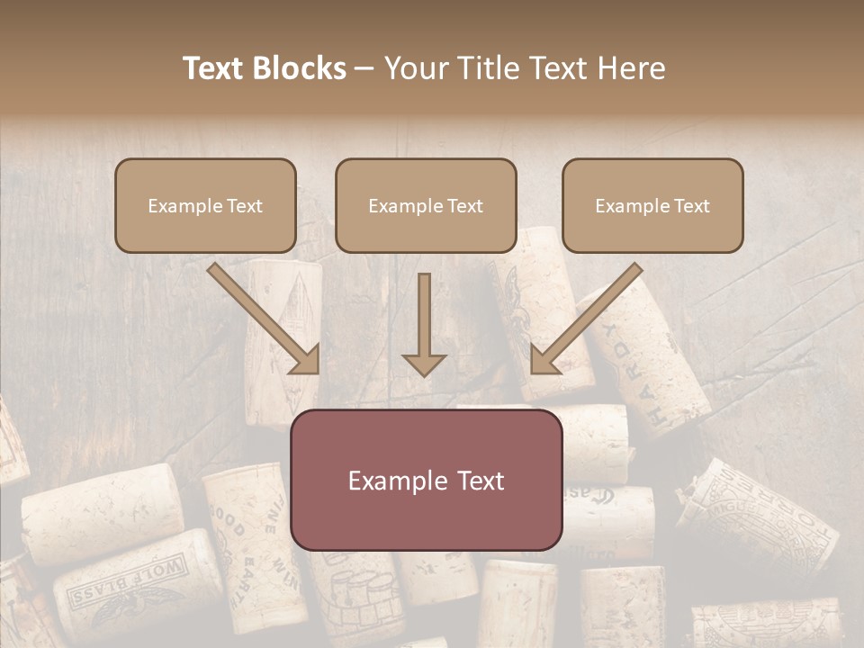 Senior  Grandmother Holding Hands PowerPoint Template