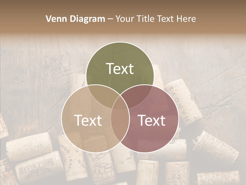 Senior  Grandmother Holding Hands PowerPoint Template