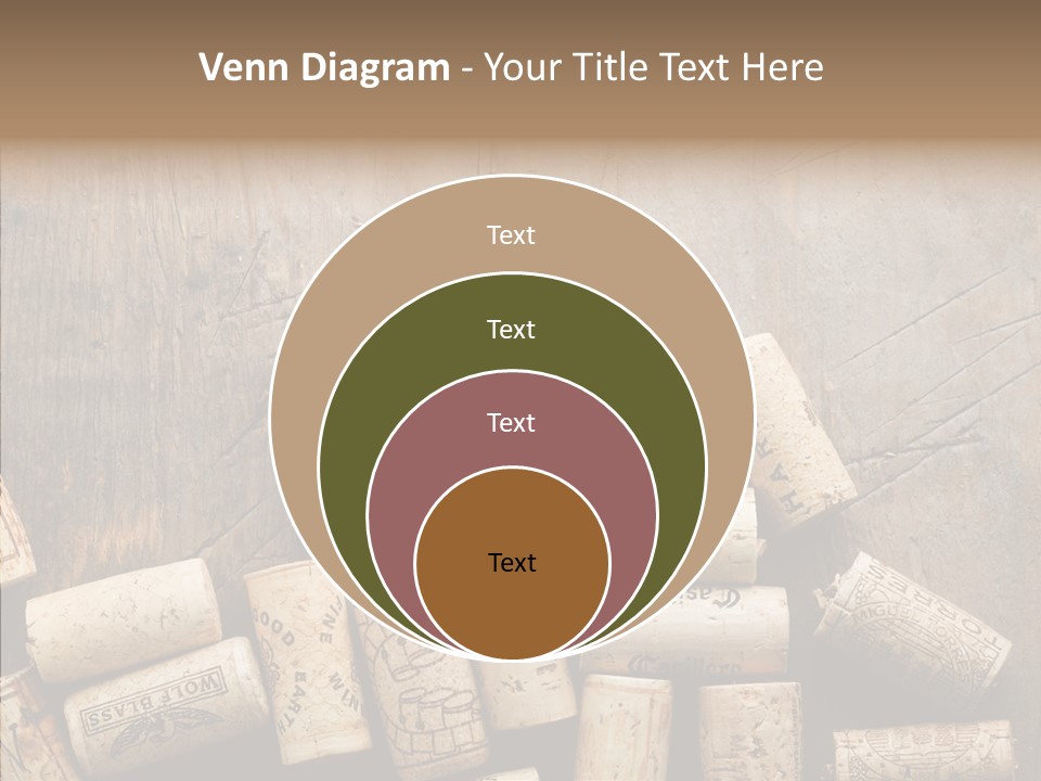 Senior  Grandmother Holding Hands PowerPoint Template