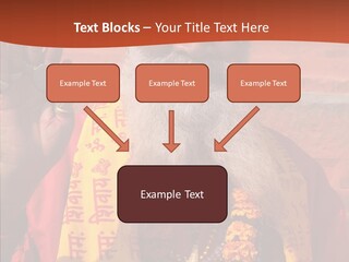 Assistance White Aging PowerPoint Template