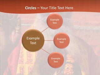 Assistance White Aging PowerPoint Template