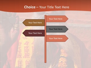 Assistance White Aging PowerPoint Template