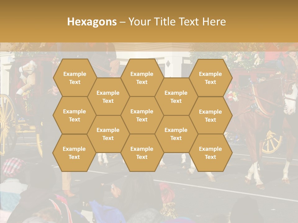 Senior  Closeup Hold PowerPoint Template