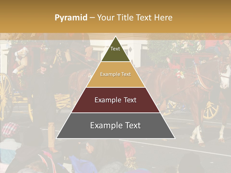 Senior  Closeup Hold PowerPoint Template