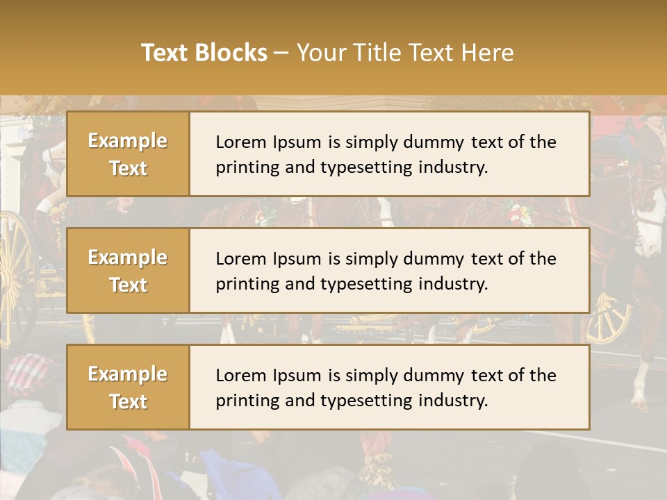 Senior  Closeup Hold PowerPoint Template