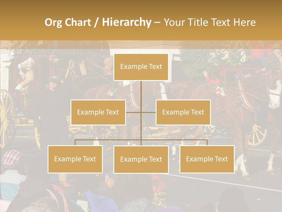 Senior  Closeup Hold PowerPoint Template