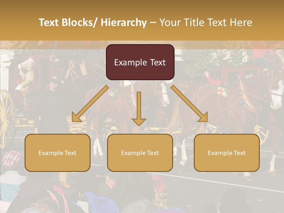 Senior  Closeup Hold PowerPoint Template