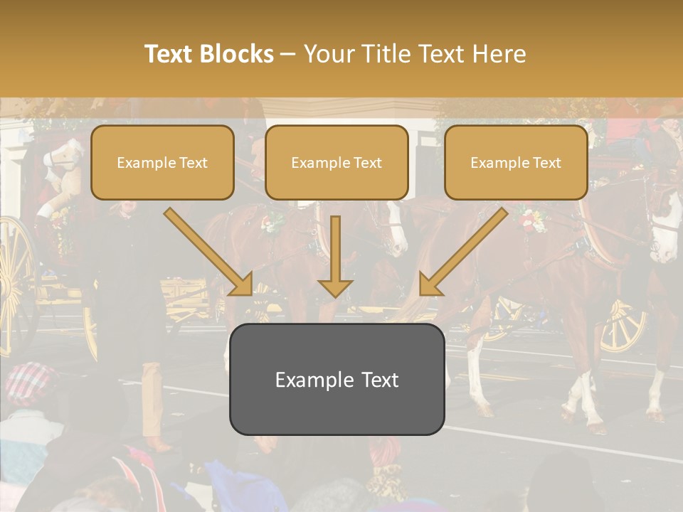Senior  Closeup Hold PowerPoint Template