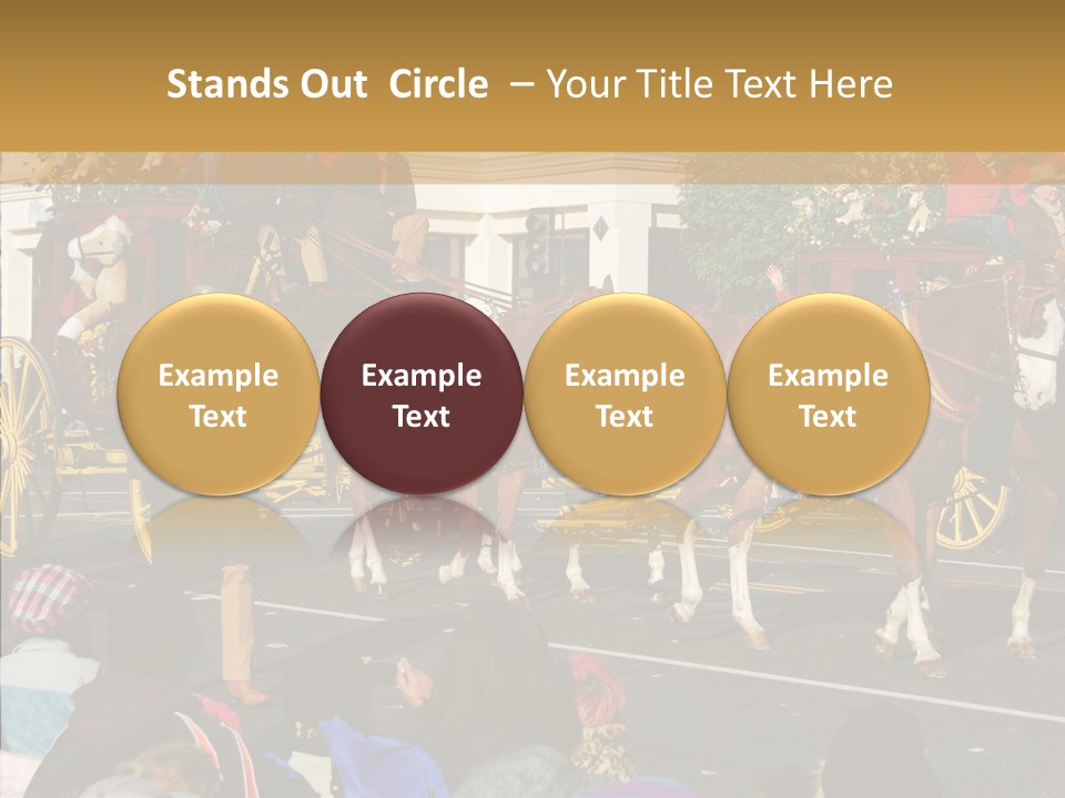 Senior  Closeup Hold PowerPoint Template