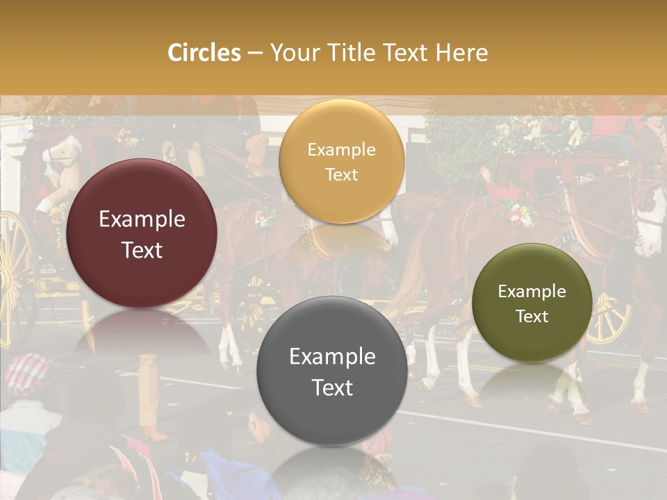 Senior  Closeup Hold PowerPoint Template