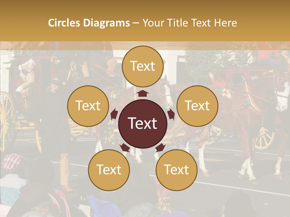 Senior  Closeup Hold PowerPoint Template