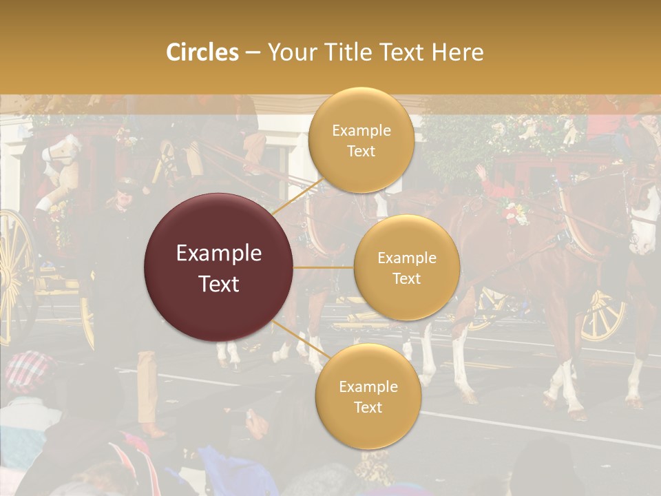 Senior  Closeup Hold PowerPoint Template