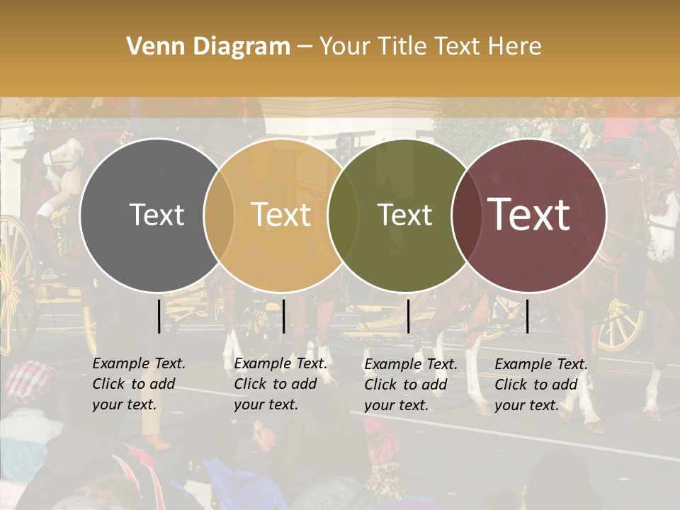 Senior  Closeup Hold PowerPoint Template