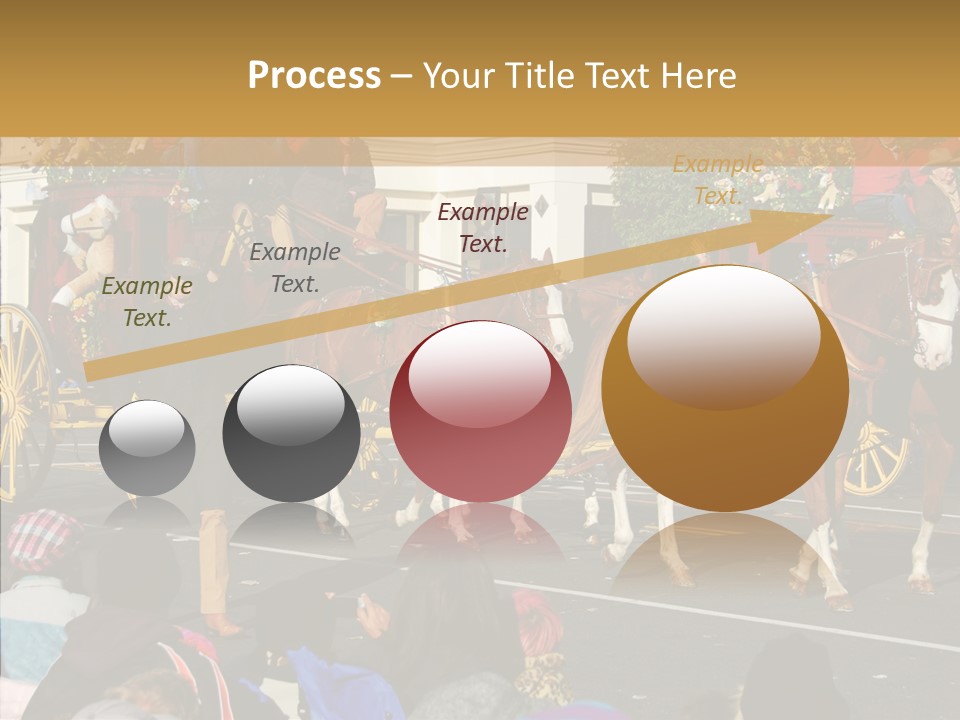 Senior  Closeup Hold PowerPoint Template