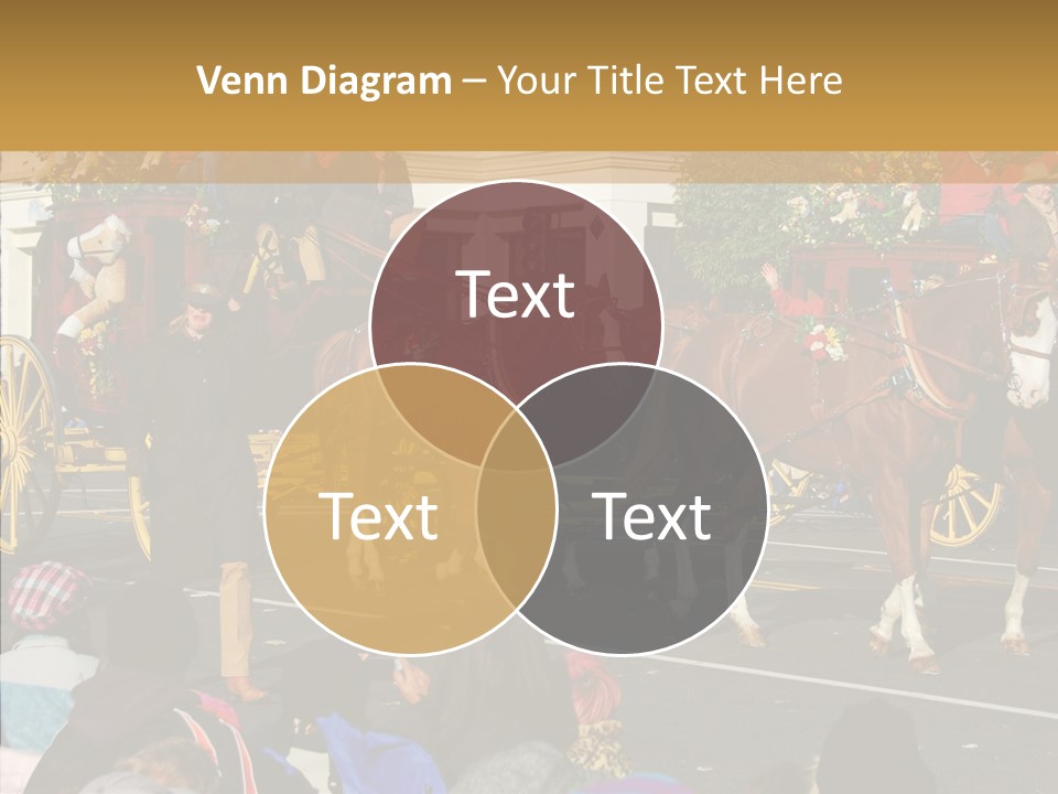 Senior  Closeup Hold PowerPoint Template