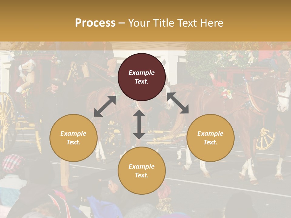 Senior  Closeup Hold PowerPoint Template