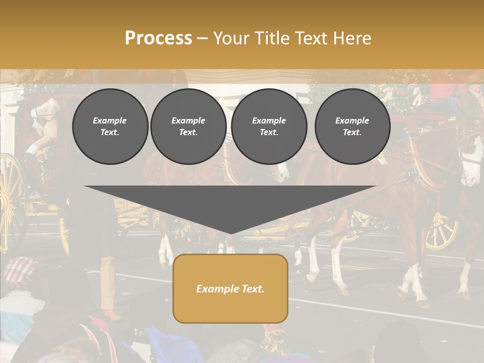 Senior  Closeup Hold PowerPoint Template